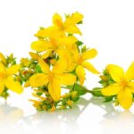 Apteczka homeopatycznej pierwszej pomocy