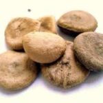 Apteczka homeopatycznej pierwszej pomocy